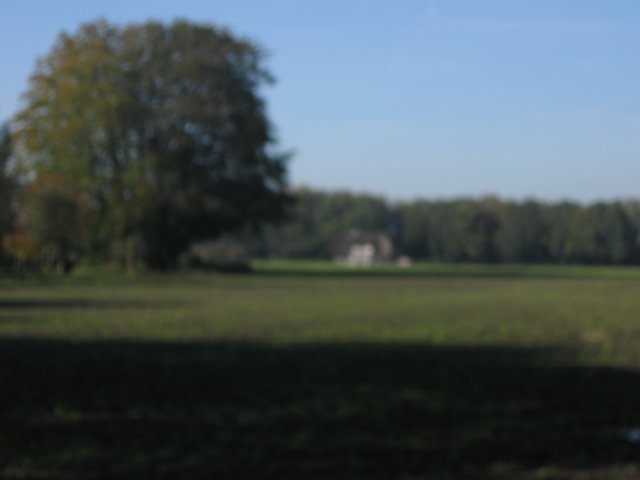 img_5606.jpg