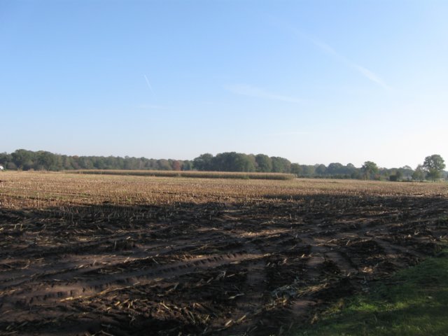 img_5616.jpg