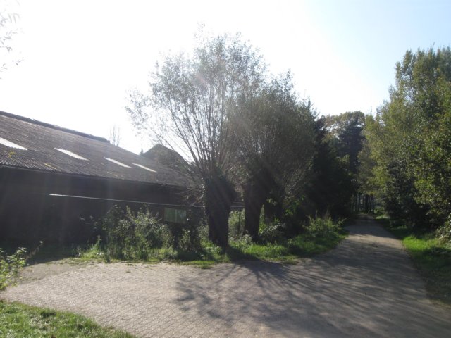 img_5617.jpg