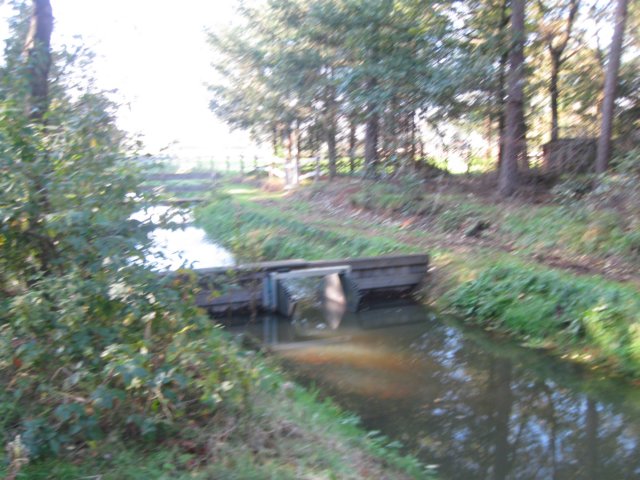 img_5626.jpg