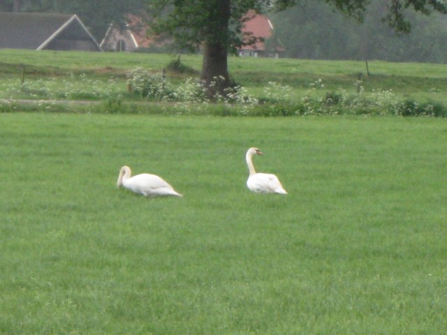 img_2319.jpg
