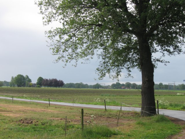 img_2334.jpg