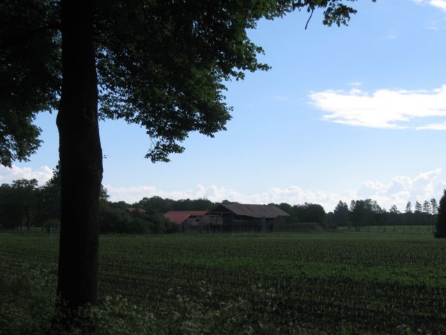 img_2339.jpg