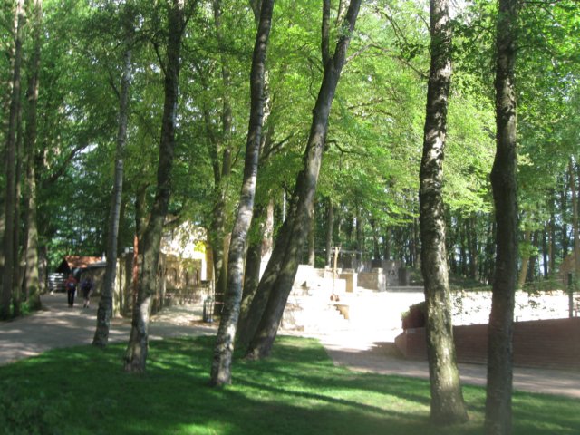 img_2377.jpg