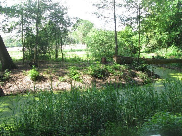 img_2380.jpg
