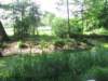 img_2380_small.jpg
