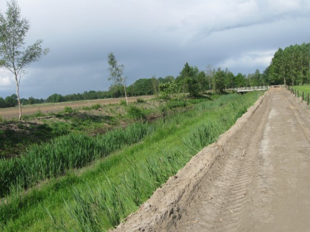 img_2382.jpg