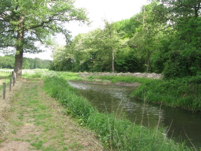 img_2387.jpg
