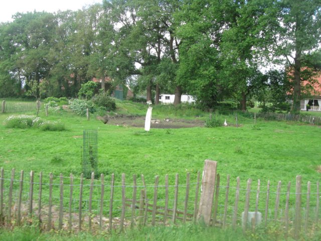 img_2395.jpg
