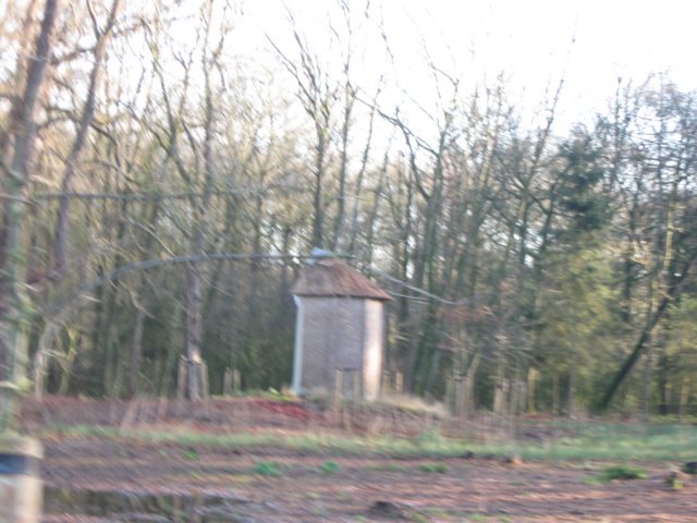 img_6317.jpg