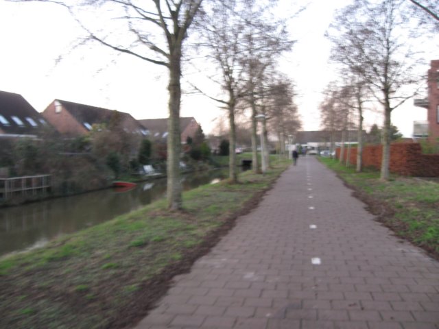 img_6419.jpg