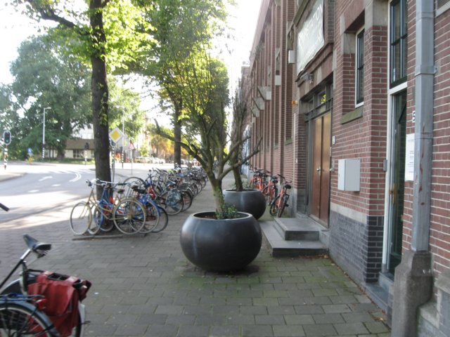 img_5351.jpg