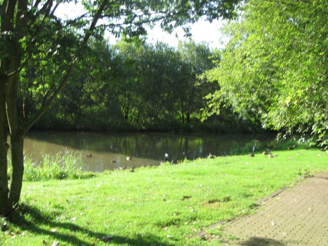 img_5356.jpg