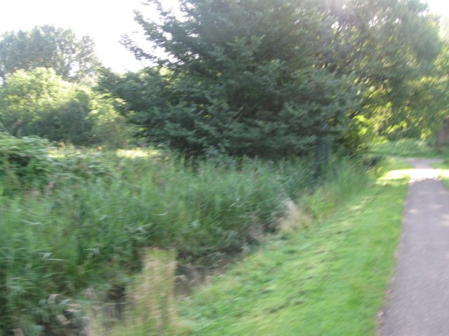 img_5358.jpg