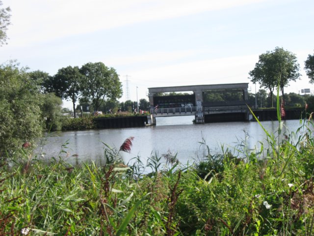 img_5374.jpg