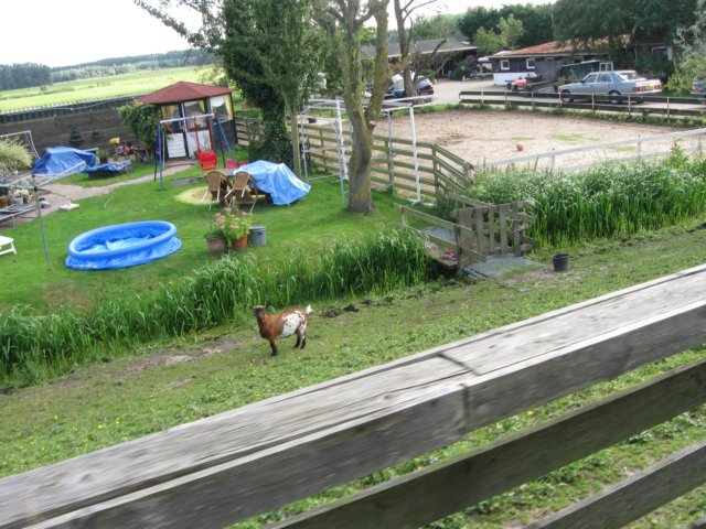 img_5425.jpg