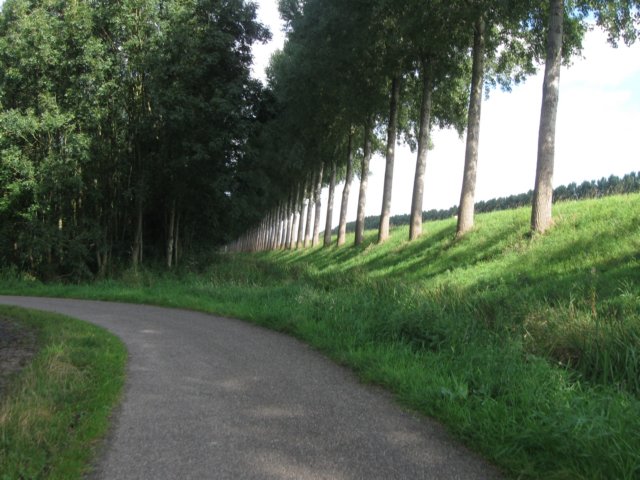 img_5446.jpg