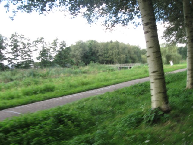 img_5468.jpg