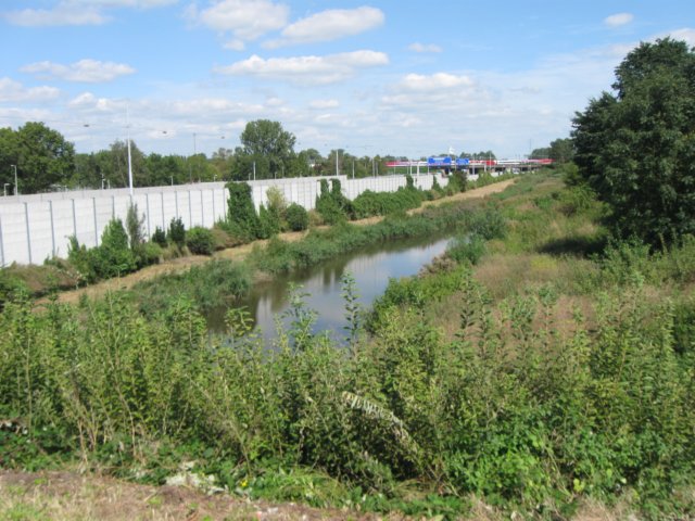 img_5483.jpg