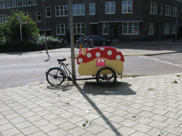 img_5504.jpg