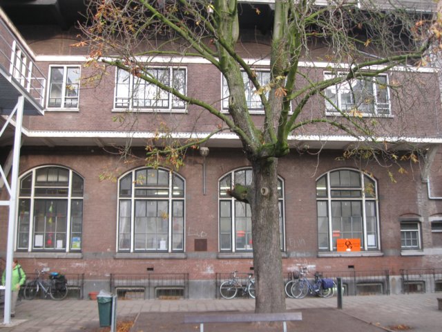img_6905.jpg