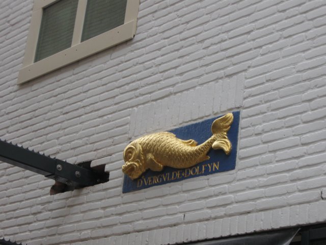 img_6906.jpg