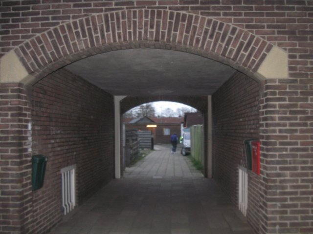 img_6932.jpg