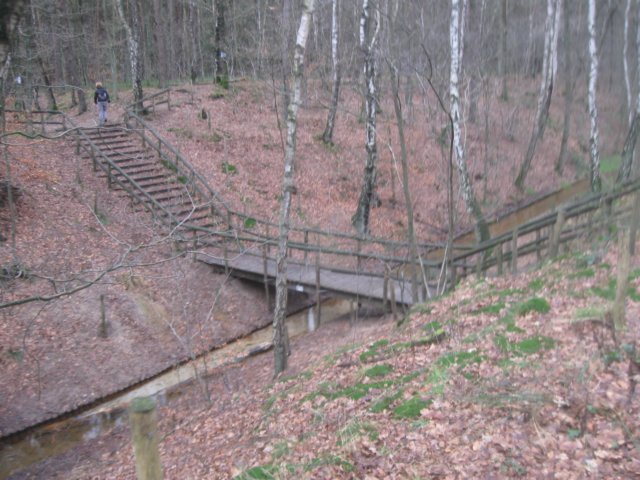 img_6996.jpg
