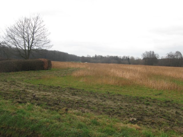 img_9304.jpg