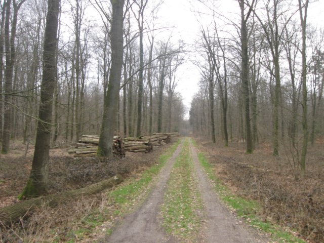 img_9314.jpg