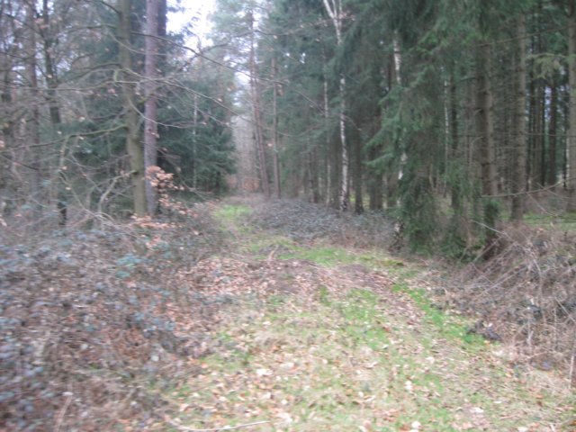 img_9368.jpg