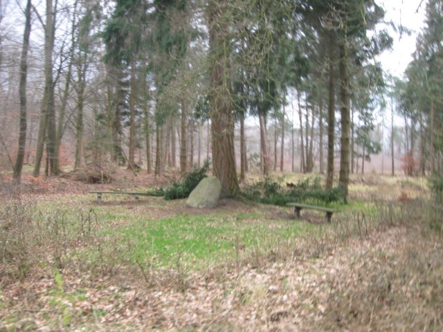 img_9385.jpg