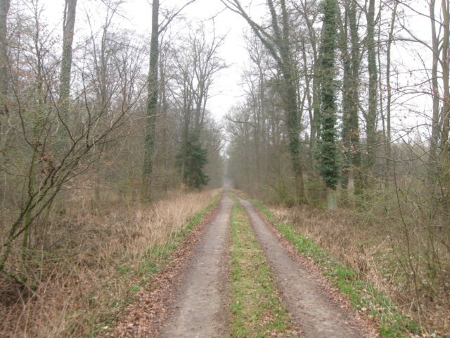 img_9596.jpg