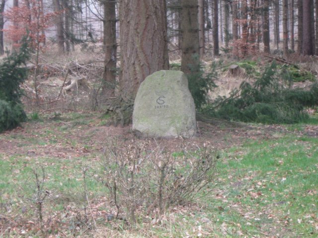 img_9602.jpg