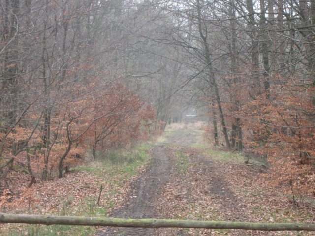 img_9603.jpg