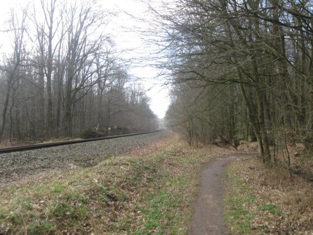 img_9631.jpg