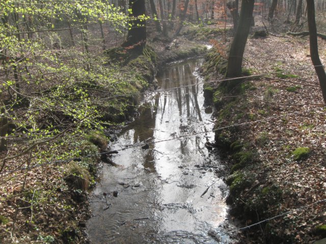 img_9635.jpg