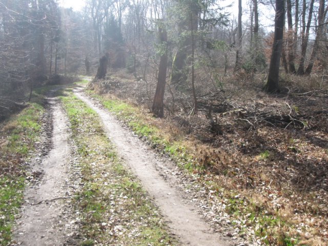 img_9638.jpg