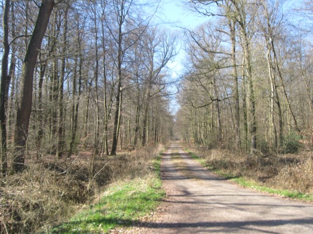 img_9662.jpg