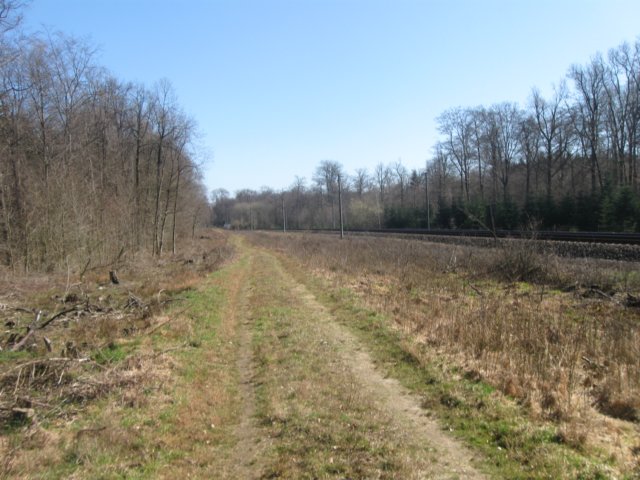 img_9664.jpg
