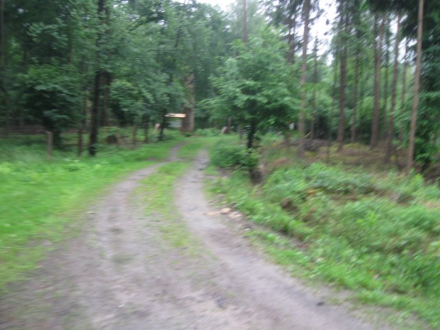 img_2409.jpg