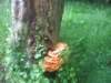 img_2413_small.jpg