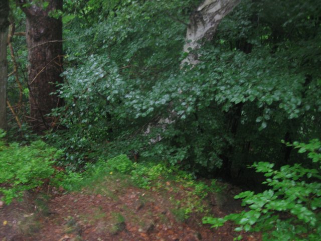 img_2421.jpg