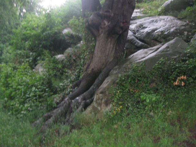 img_2428.jpg