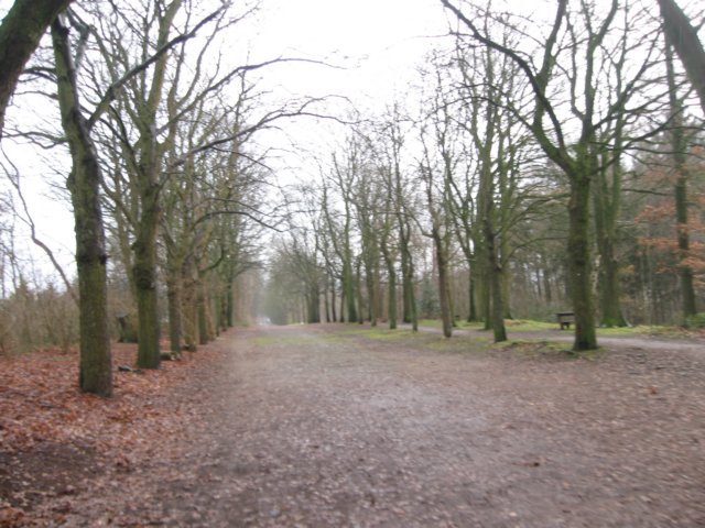 img_7645.jpg