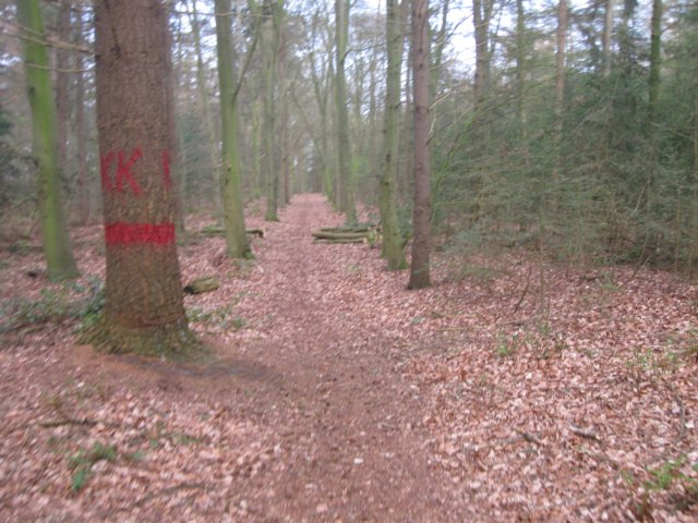img_0630.jpg