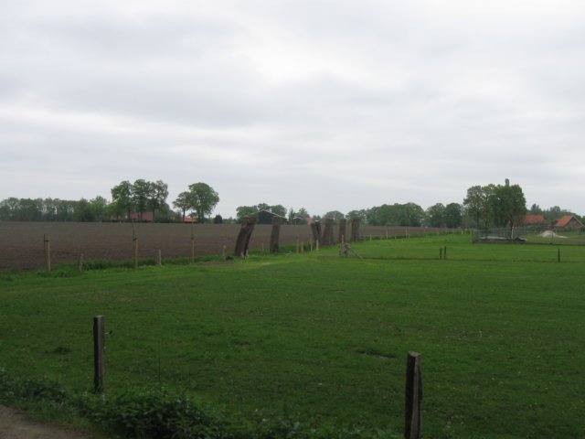 img_1096.jpg