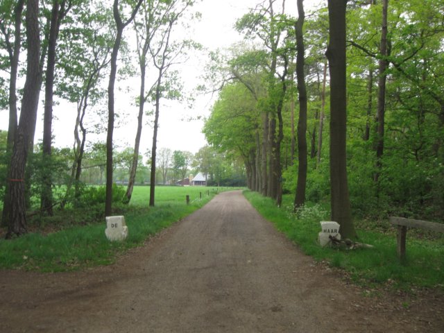 img_1097.jpg