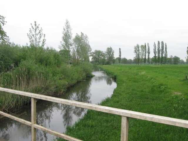 img_1100.jpg