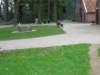 img_7110_small.jpg